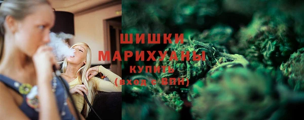 каннабис Новозыбков