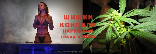 сатива Новокубанск