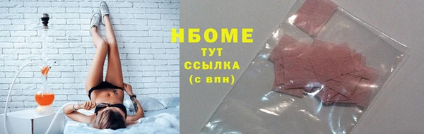 сатива Новокубанск