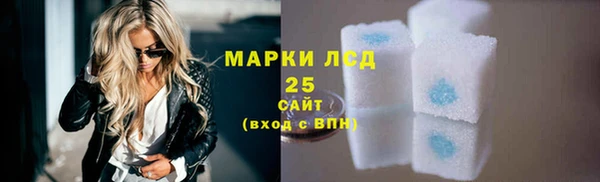 сатива Новокубанск