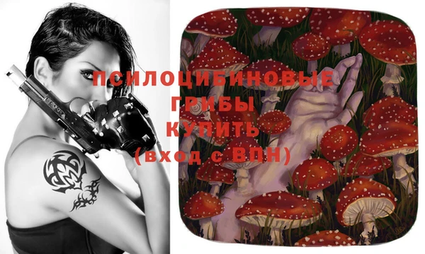 сатива Новокубанск