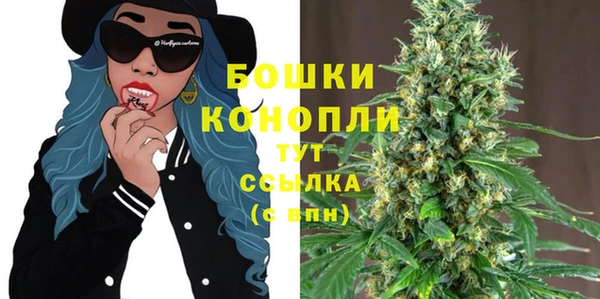 каннабис Новозыбков
