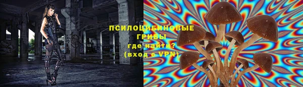 каннабис Новозыбков