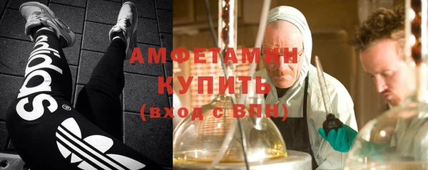 сатива Новокубанск